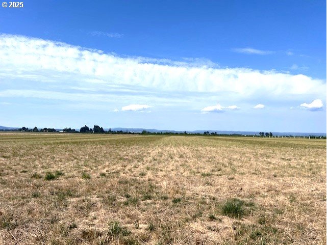 2369 Northwest Martin Road Forest Grove, OR 97116 - Photo 11 of 20