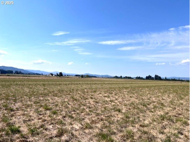 2369 Northwest Martin Road Forest Grove, OR 97116 - Photo 13 of 20 a view of an ocean and city