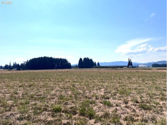 2369 Northwest Martin Road Forest Grove, OR 97116 - Photo 20 of 20 a view of lake and mountain