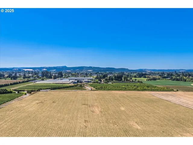a view of a yard with plants and wooden fence