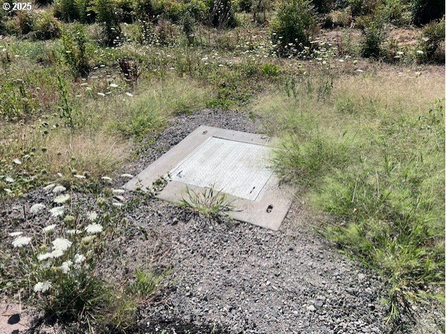 2369 Northwest Martin Road Forest Grove, OR 97116 - Photo 7 of 20 a view of a yard with plants and wooden fence