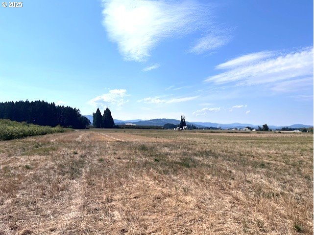 2369 Northwest Martin Road Forest Grove, OR 97116 - Photo 9 of 20 a view of a lake and mountain