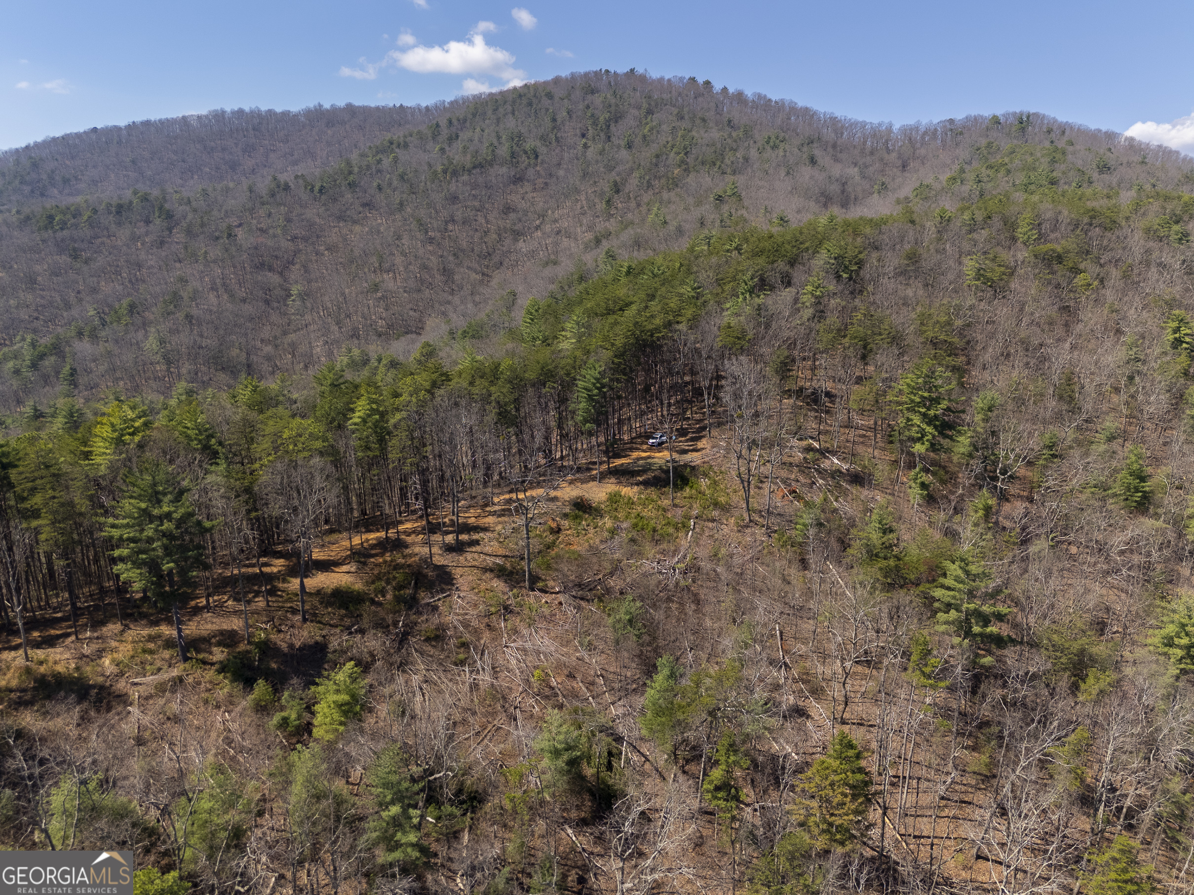 0 Bellflower Place Helen, GA 30545 - Photo 3 of 7