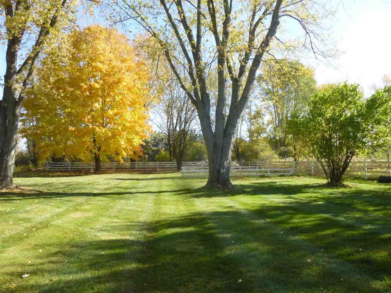 12903 Byron Road Byron, MI 48418 - Photo 10 of 32 50027904-9.JPG
