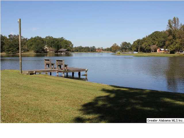 10 Lakeview Lane Sylacauga, AL 35151 - Photo 25 of 26