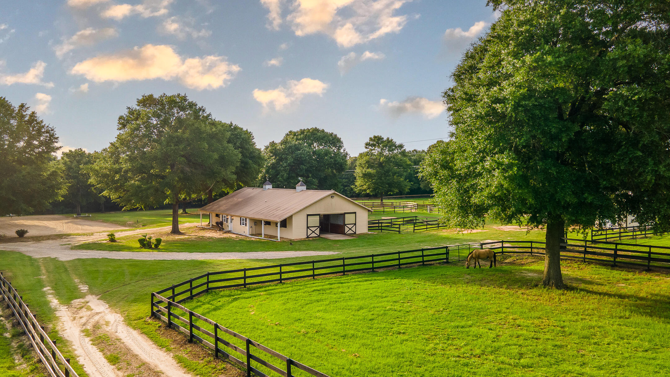 500 Burkelo Road Wagener, SC 29164 - Photo 4 of 80