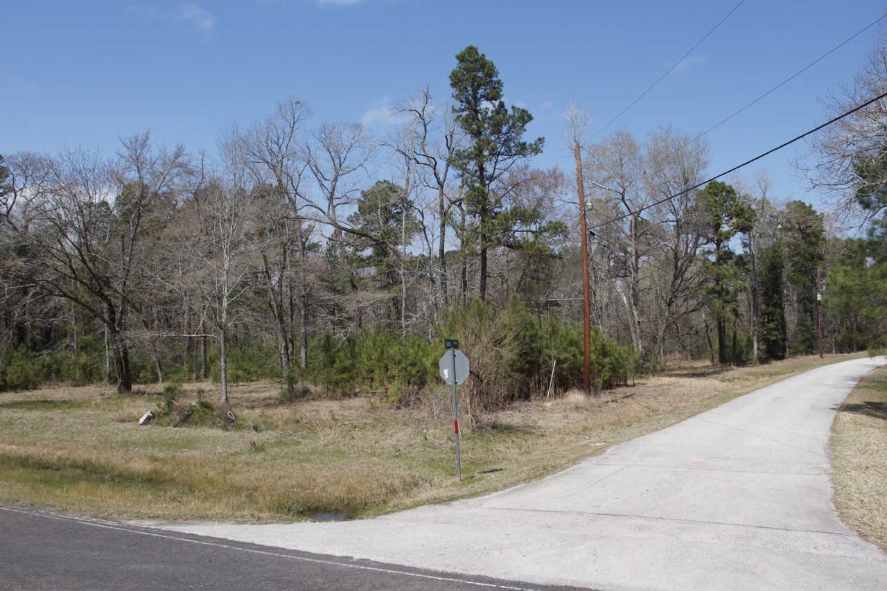 4345 FM 3188 Trinity, TX 75862 - Photo 2 of 9 a view of a park with large trees