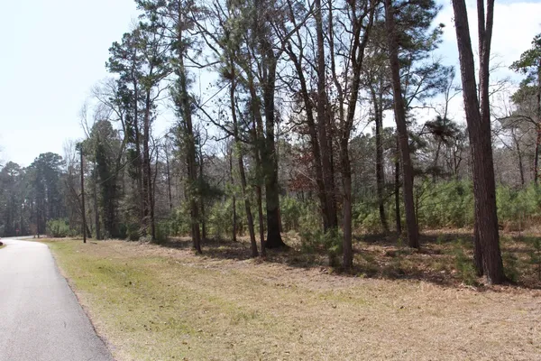 a view of outdoor space with trees