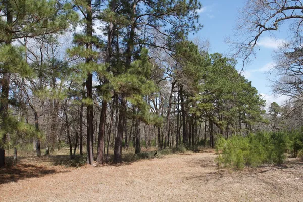 a view of outdoor space with trees