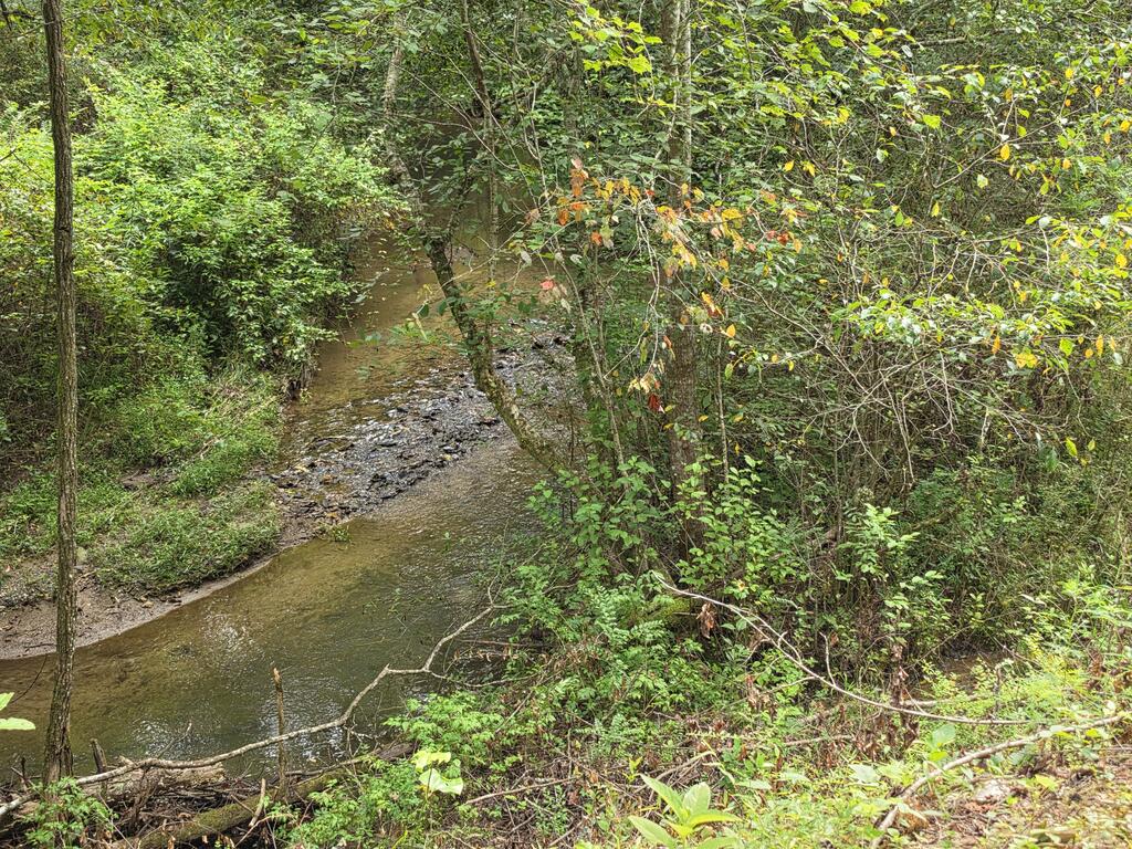 L32 Chestnut Flts Road Andrews, NC 28901 - Photo 4 of 11 Gallery Image 4