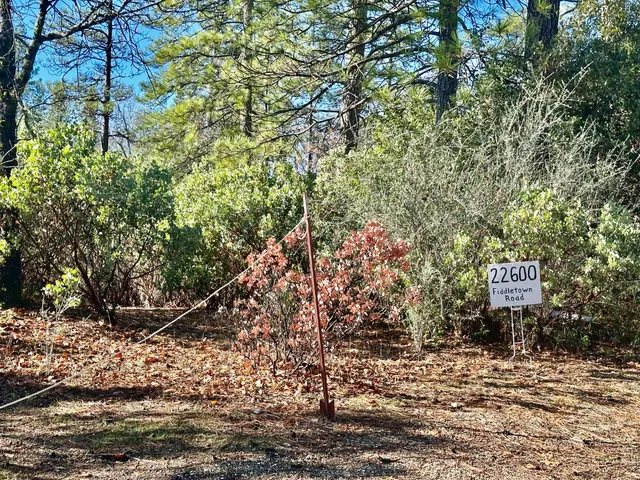 a view of a garden with an empty space