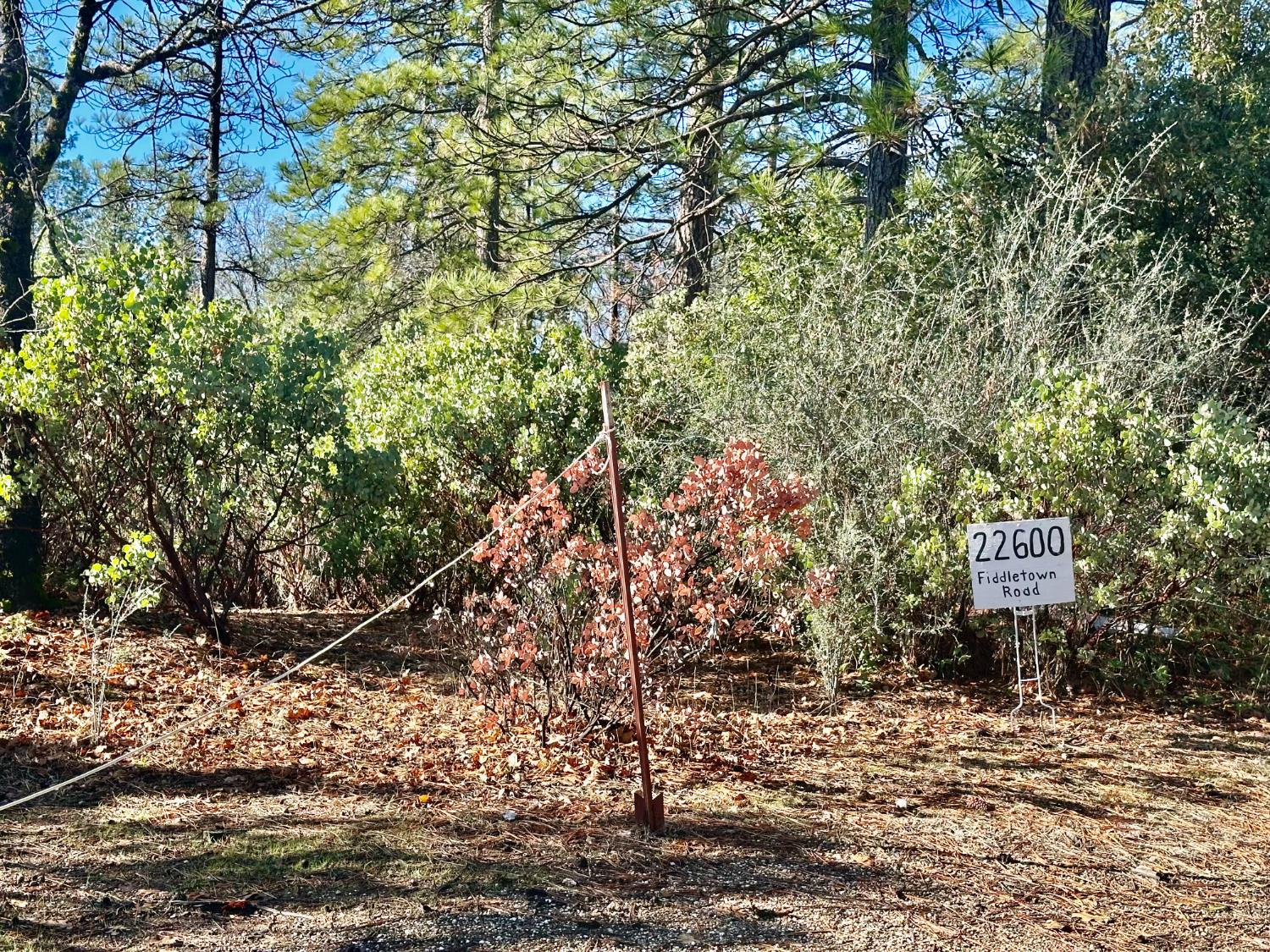 22600 Fiddletown Road Volcano, CA 95689 - Photo 13 of 36 a sign board with a tree in the background