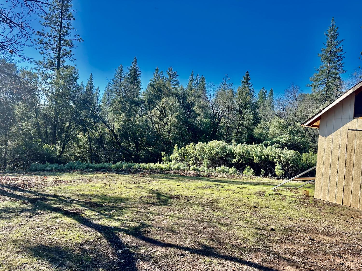 22600 Fiddletown Road Volcano, CA 95689 - Photo 15 of 36 a view of a garden with an empty space