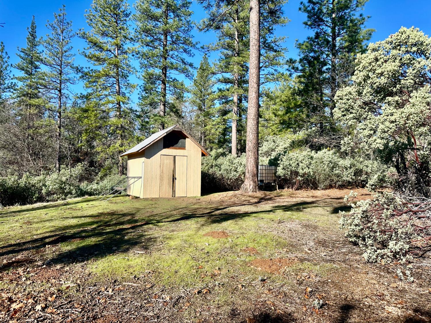 22600 Fiddletown Road Volcano, CA 95689 - Photo 19 of 36 a view of a house with a yard and large trees