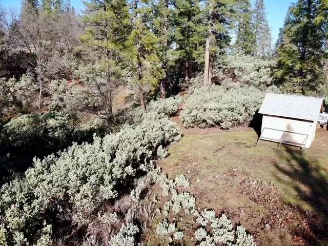 a view of a yard with a tree
