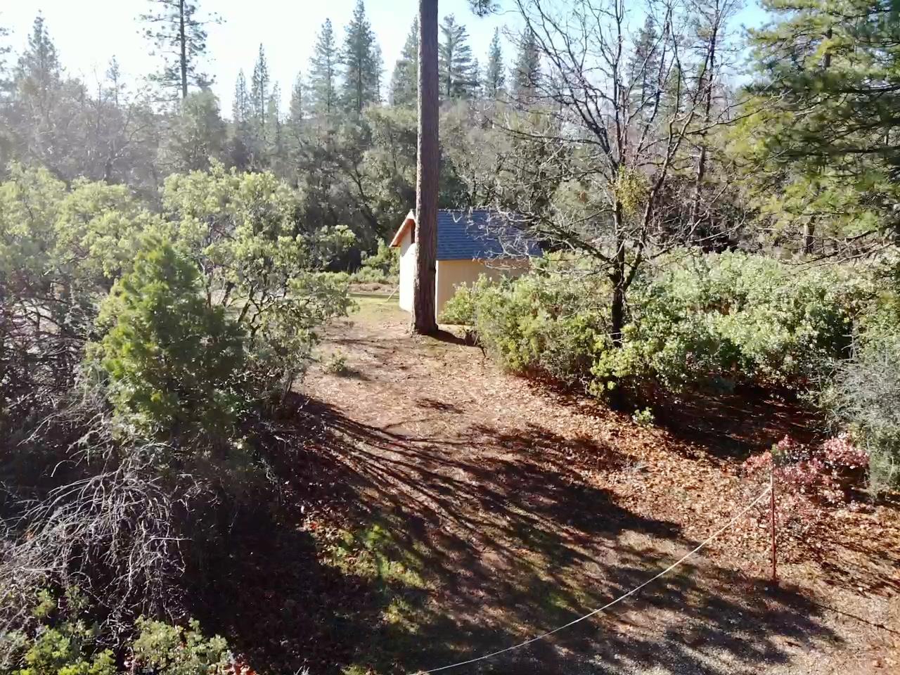 22600 Fiddletown Road Volcano, CA 95689 - Photo 24 of 36 a view of a yard with plants and trees