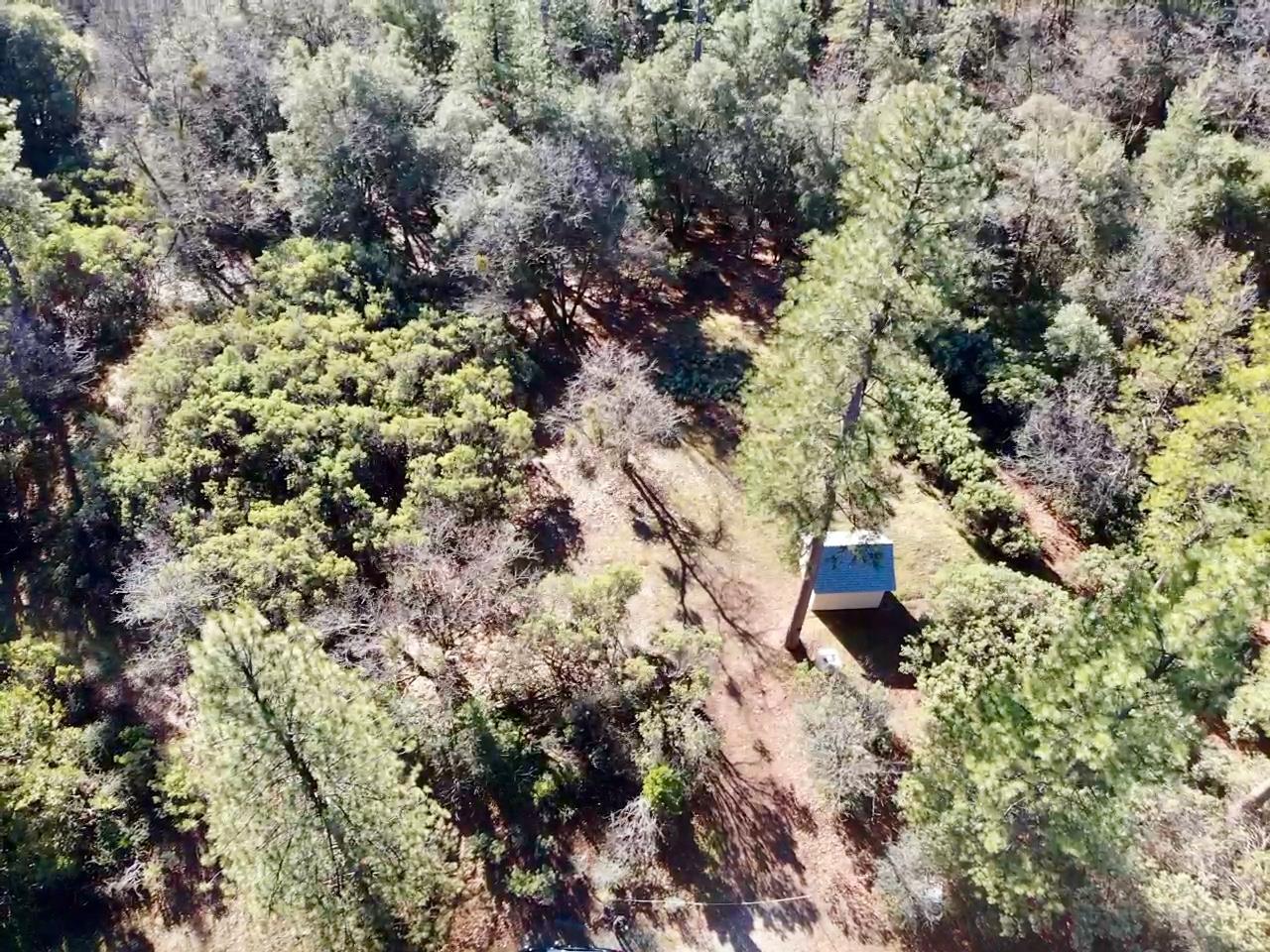22600 Fiddletown Road Volcano, CA 95689 - Photo 25 of 36 an aerial view of residential house with outdoor space and trees all around