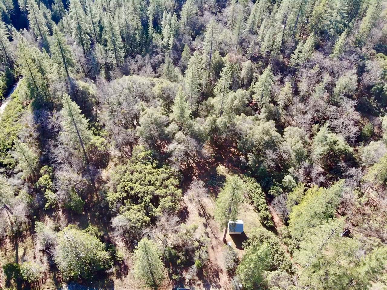 22600 Fiddletown Road Volcano, CA 95689 - Photo 26 of 36 a view of a forest of trees