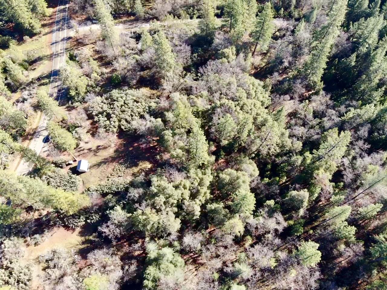 22600 Fiddletown Road Volcano, CA 95689 - Photo 29 of 36
