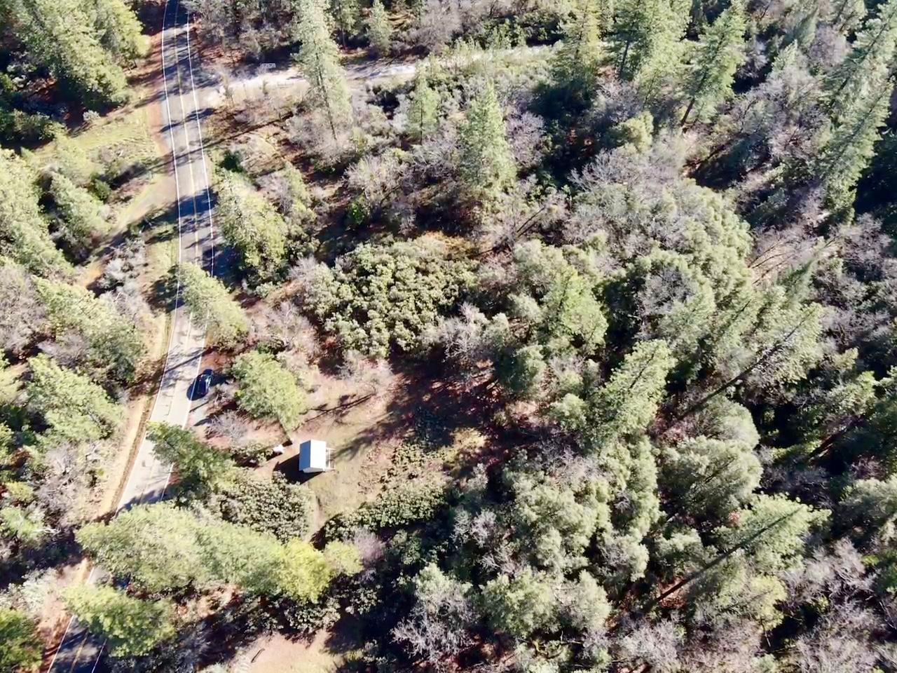 22600 Fiddletown Road Volcano, CA 95689 - Photo 30 of 36 a view of a tree