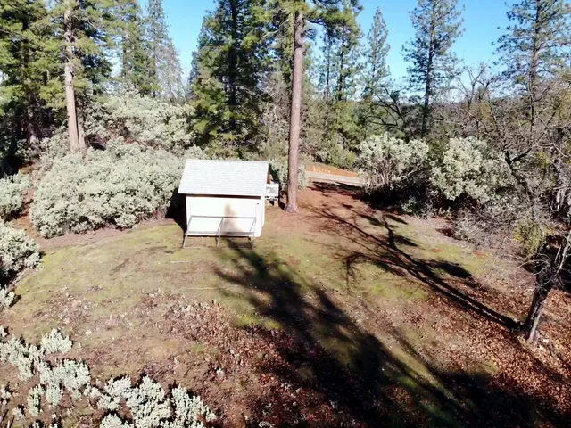 a view of a yard with plants and trees