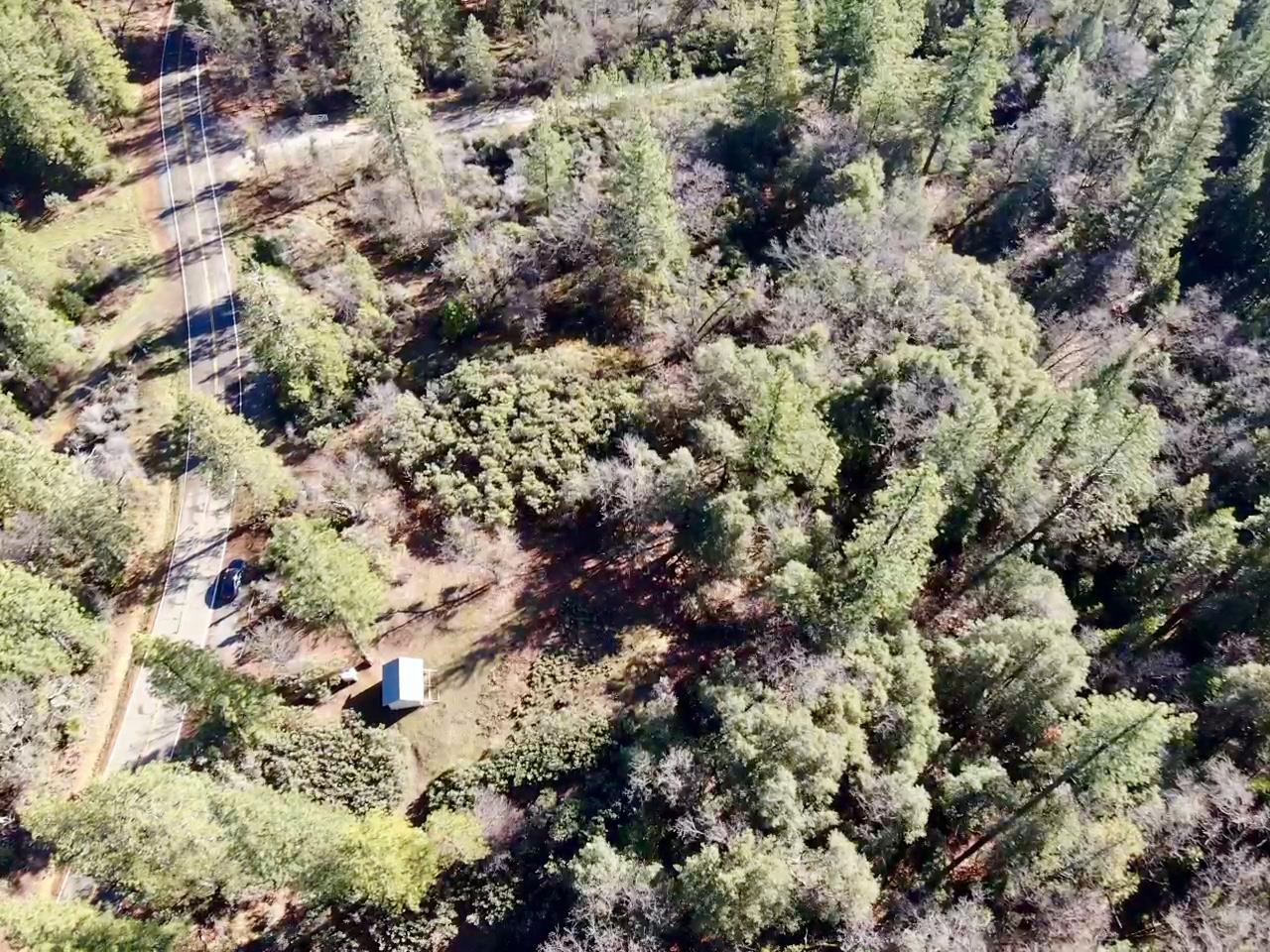 22600 Fiddletown Road Volcano, CA 95689 - Photo 31 of 36 a view of a tree in a forest