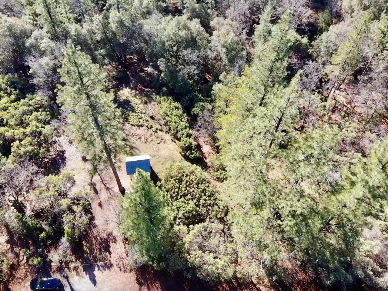 22600 Fiddletown Road Volcano, CA 95689 - Photo 32 of 36 a view of a forest with a tree