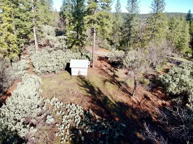 a view of a yard with trees