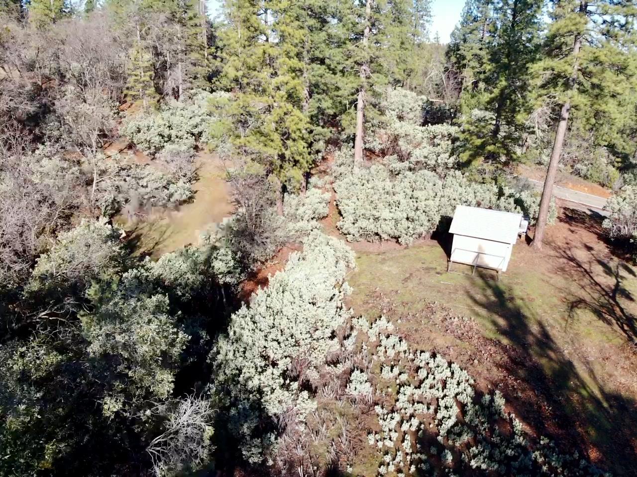 22600 Fiddletown Road Volcano, CA 95689 - Photo 34 of 36 a view of a yard with wooden fence and trees