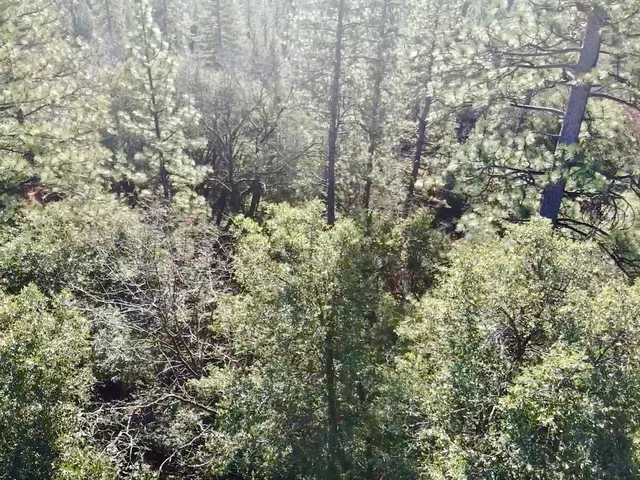 $83,000 | 22600 Fiddletown Road, Volcano, CA 95689