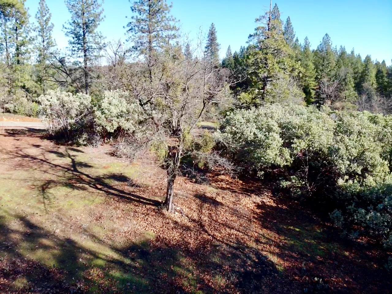 22600 Fiddletown Road Volcano, CA 95689 - Photo 36 of 36 a view of a yard with trees