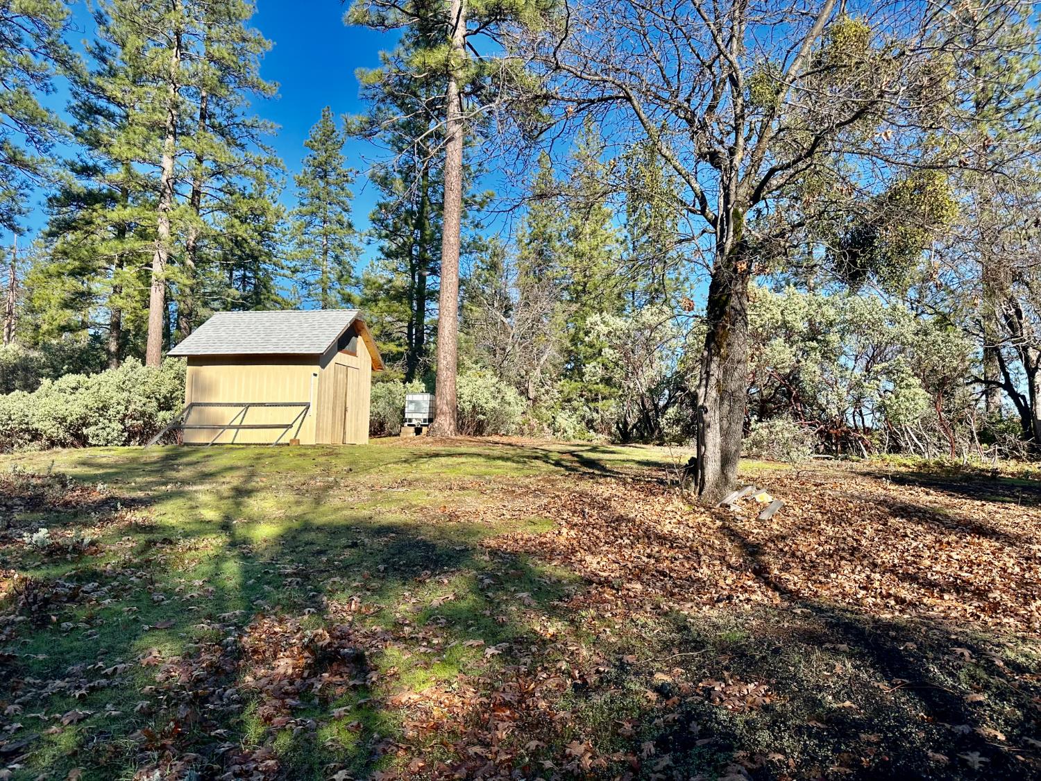 22600 Fiddletown Road Volcano, CA 95689 - Photo 4 of 36 a view of a yard with plants and trees
