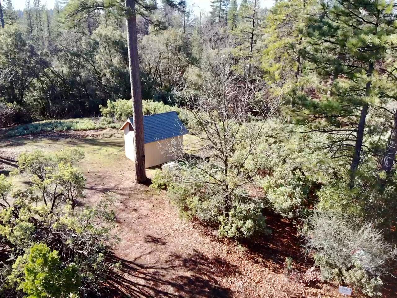 22600 Fiddletown Road Volcano, CA 95689 - Photo 5 of 36 a view of a tree with yard