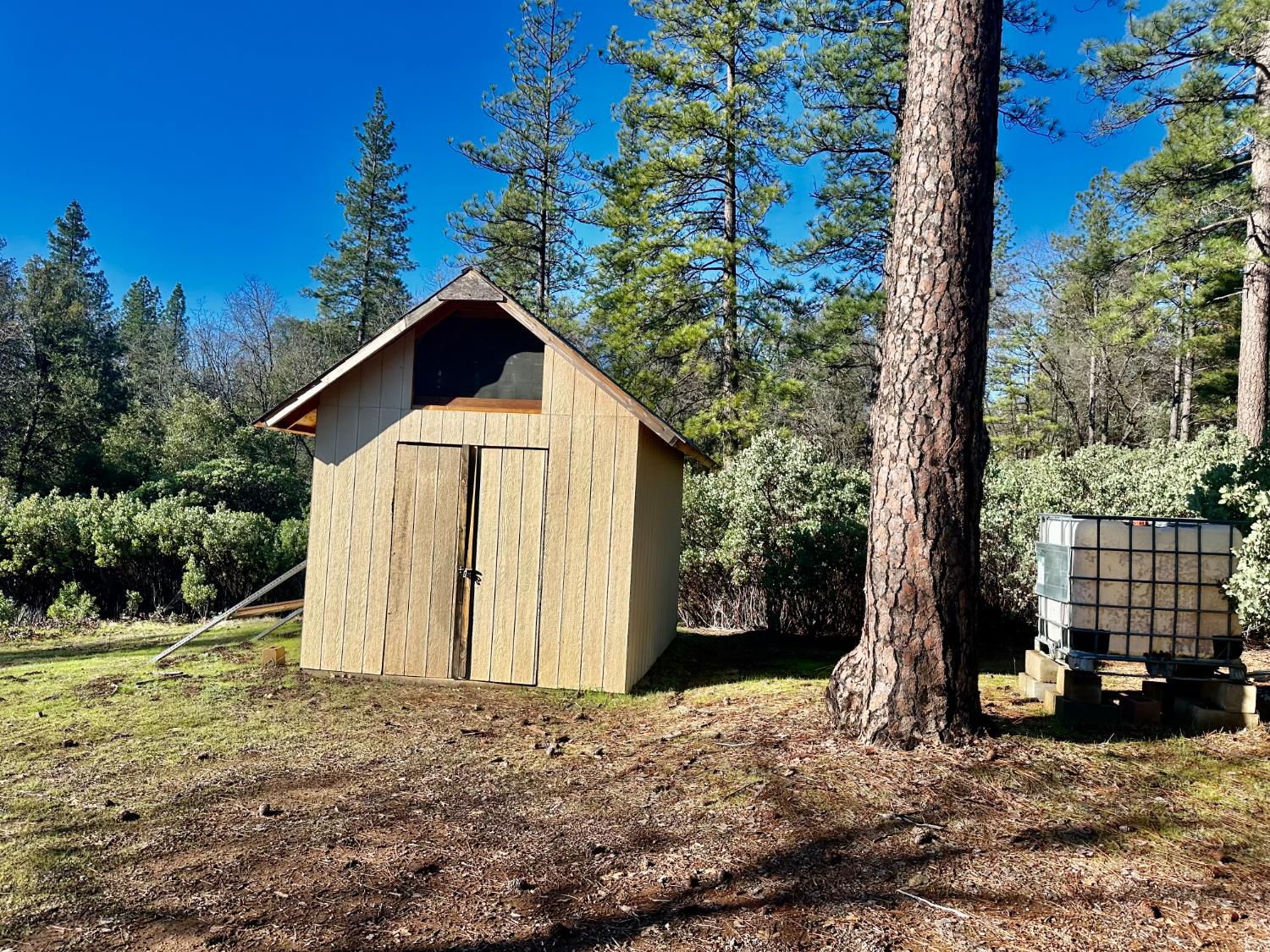 22600 Fiddletown Road Volcano, CA 95689 - Photo 6 of 36 a view of a house with backyard and trees