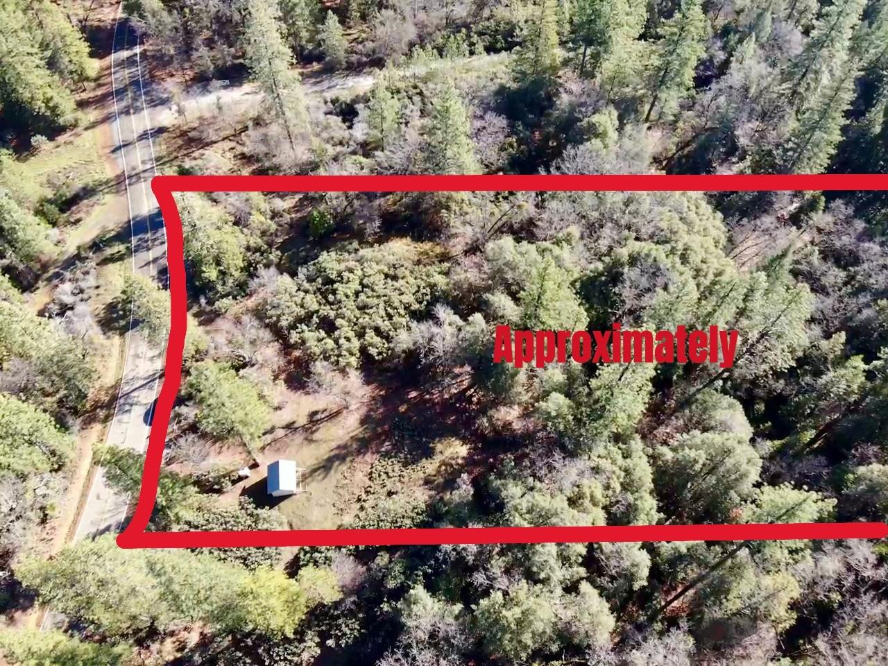 22600 Fiddletown Road Volcano, CA 95689 - Photo 7 of 36 a view of street with lots of flowers and trees