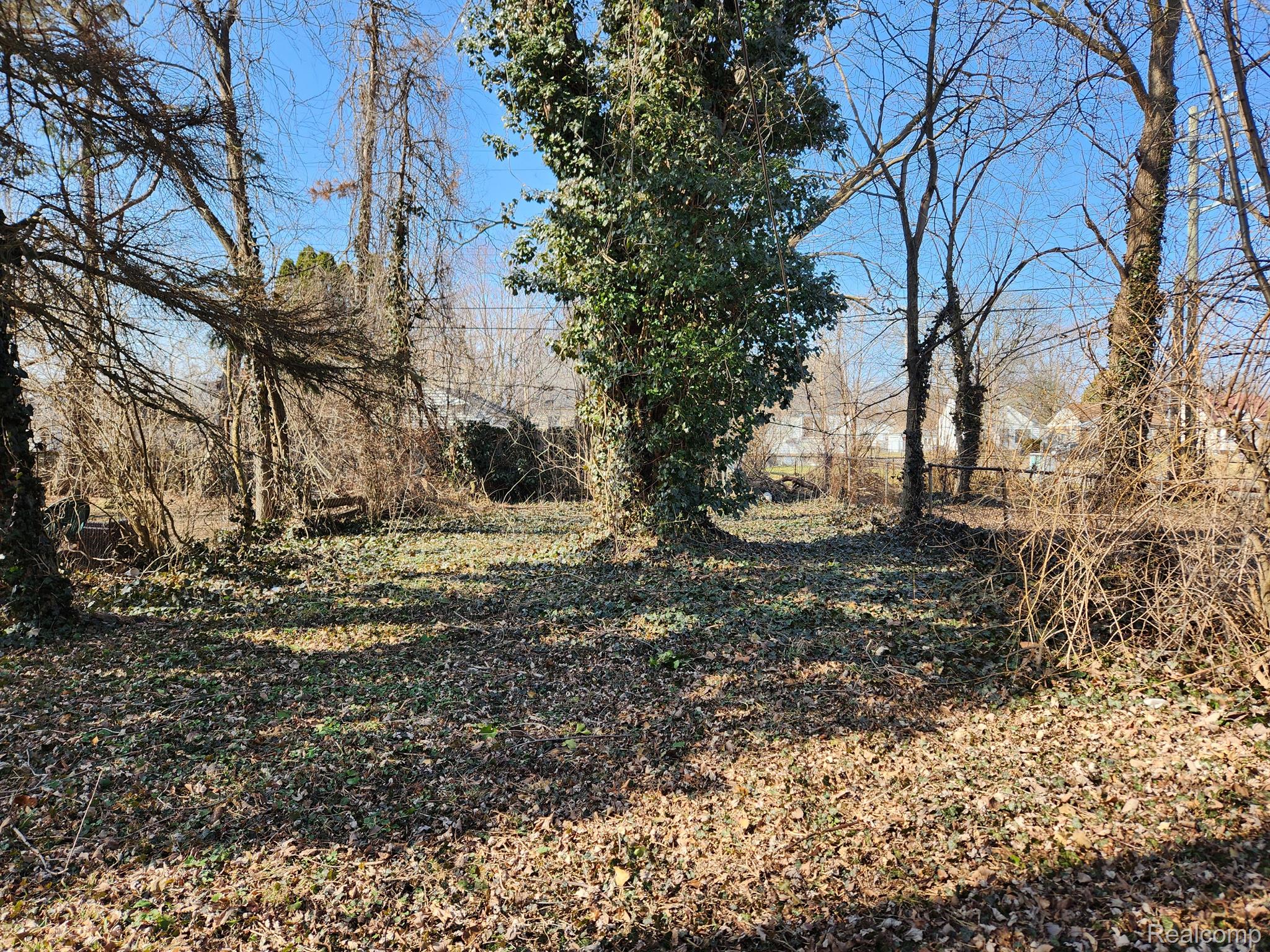7445 Evergreen Road Detroit, MI 48228 - Photo 21 of 23 Deep Back Yard