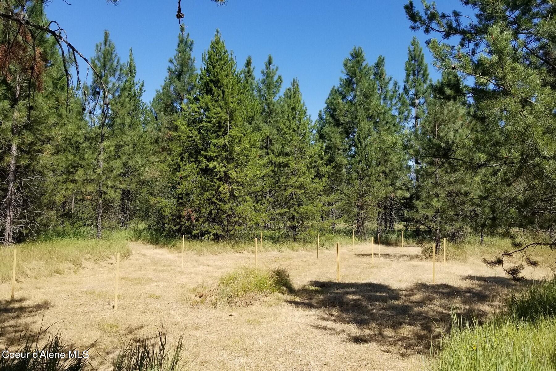 Nna Ponderesa Ranch Road Sagle, ID 83860 - Photo 6 of 33 Homesite