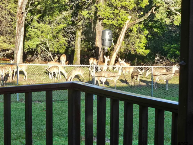 a view of a lake with houses in the back