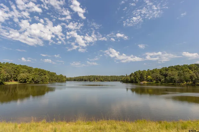 a swimming pool with trees in the background