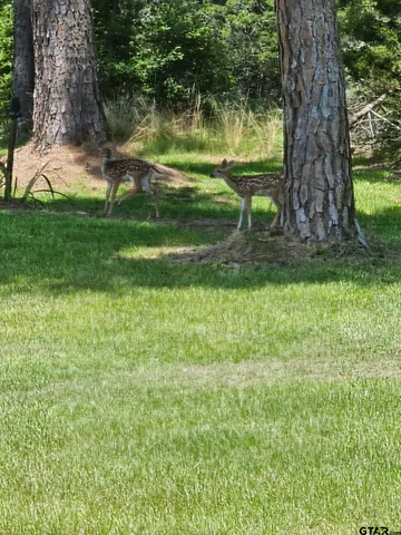 a house view with a outdoor space