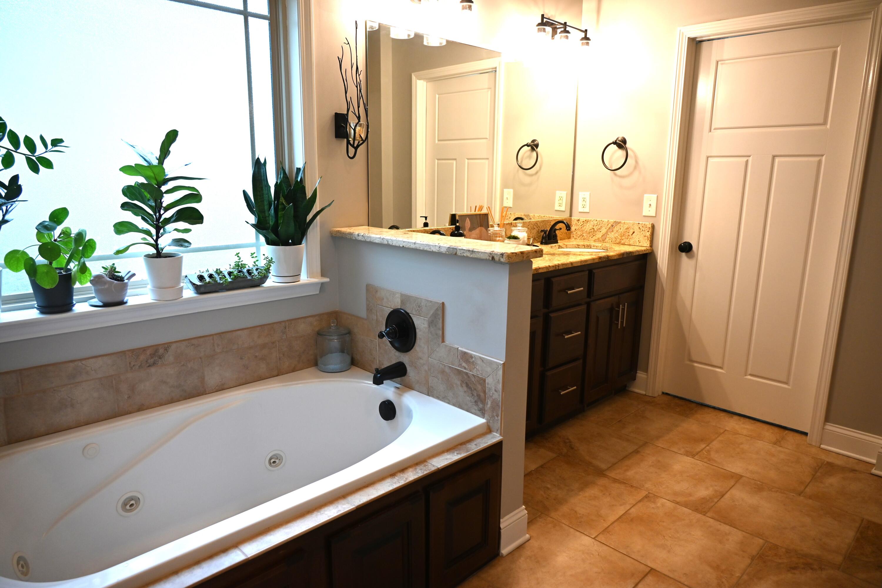 3375 Prairie Pass Apison, TN 37302 - Photo 26 of 67 Master Bath
