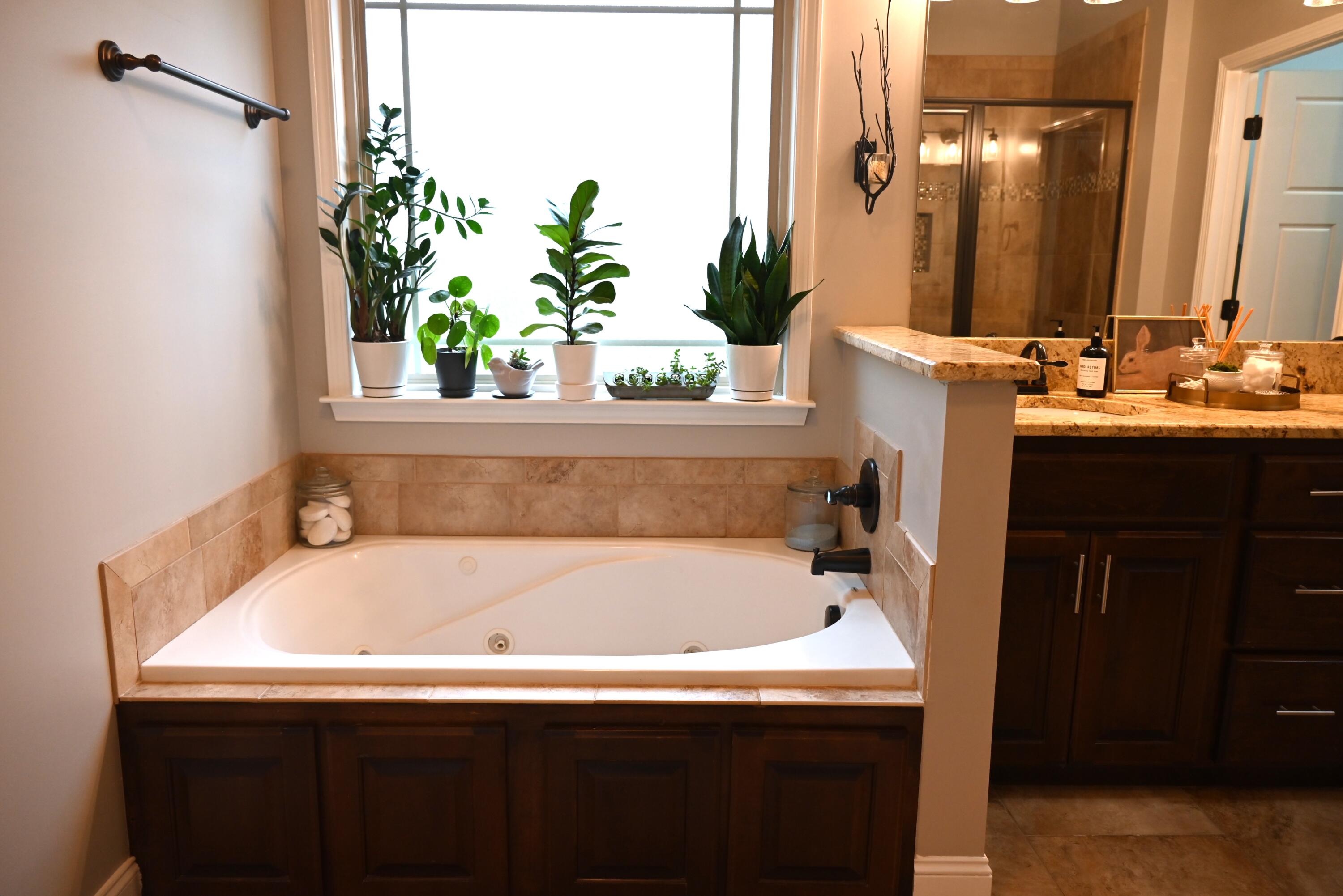 3375 Prairie Pass Apison, TN 37302 - Photo 29 of 67 Master Bath