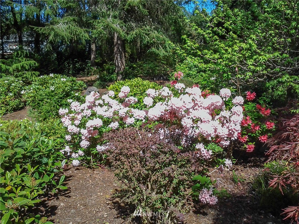 13620 Lester Road Northwest Silverdale, WA 98383 - Photo 25 of 25 Gallery Image 25