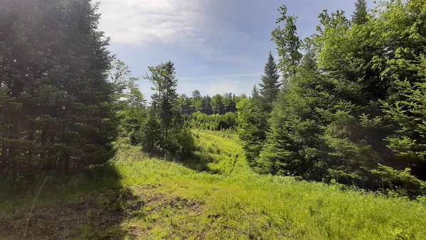 $249,000 | 0 Summit Road, Mount Holly, VT 05758