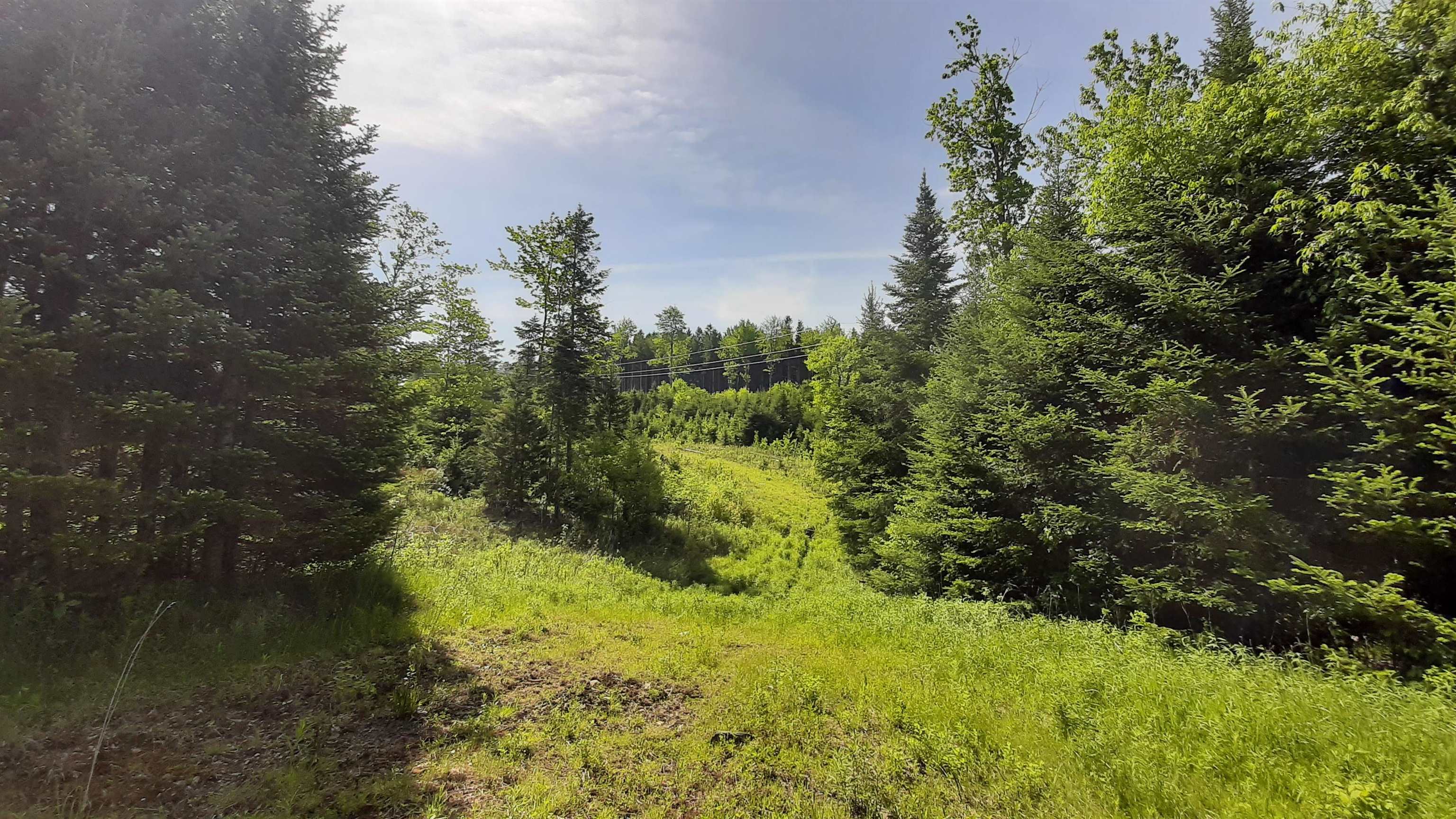 0 Summit Road Mount Holly, VT 05758 - Photo 1 of 37