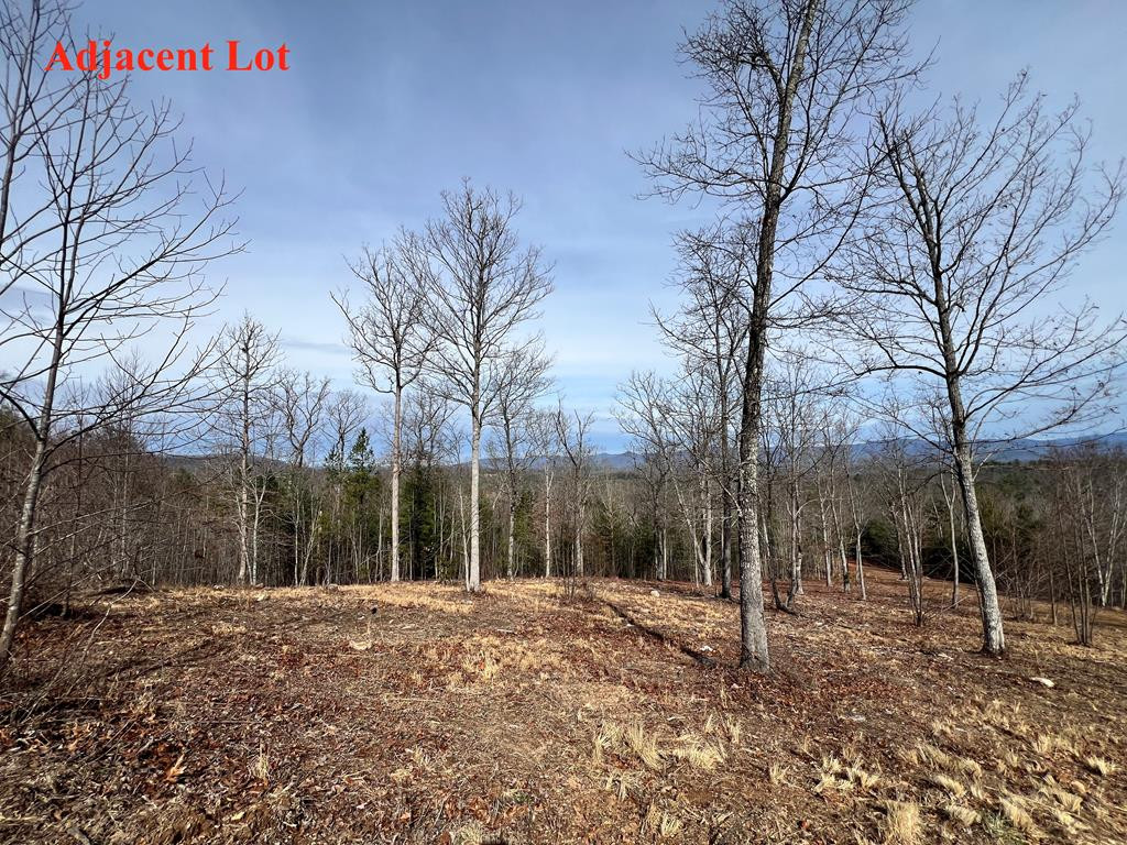 Lot 63 Lake Wood Road Murphy, NC 28906 - Photo 28 of 28
