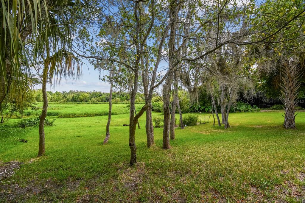Dixie Avenue Dade City, FL 33525 - Photo 7 of 8 a view of a park with trees