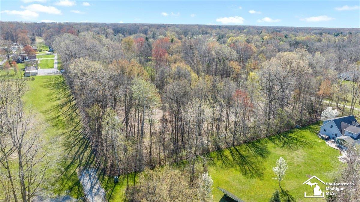 13558 Hannan Road Romulus, MI 48174 - Photo 5 of 9