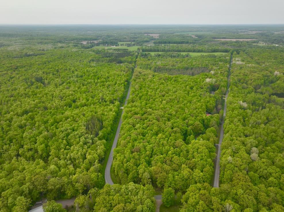 0 Buettner Road White Lake, WI 54491 - Photo 10 of 10 Gallery Image 10