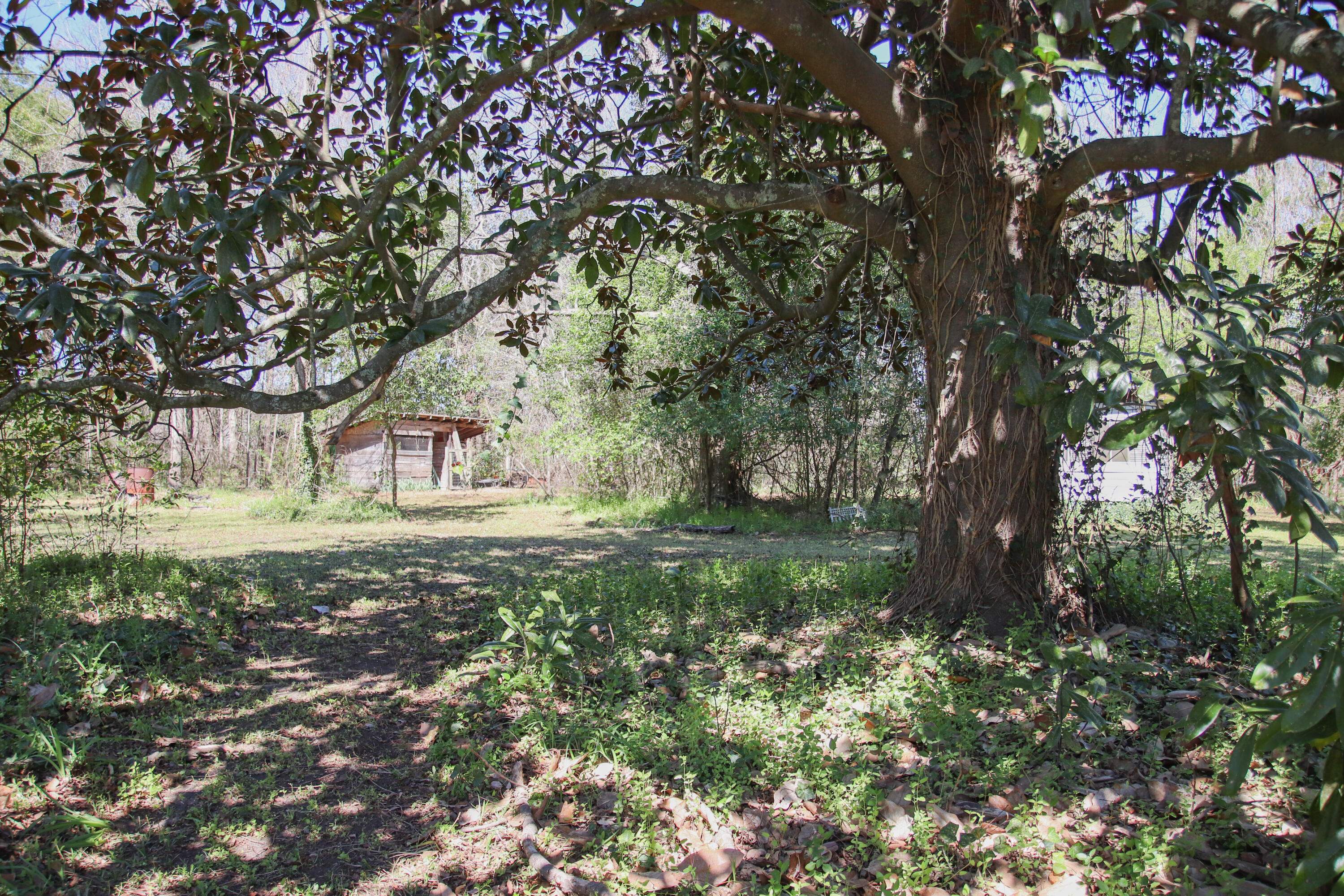 1451 Dry Branch Road Lodge, SC 29082 - Photo 21 of 22 IMG_8365